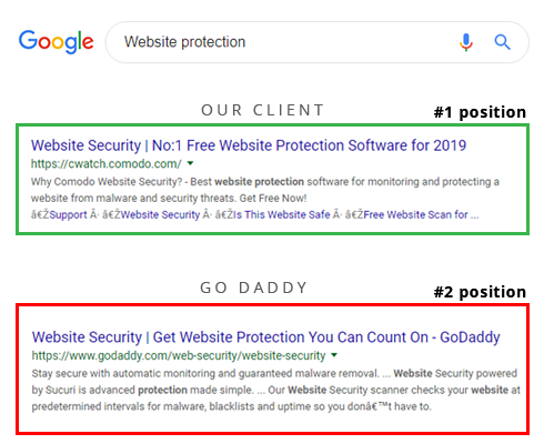 Website Protection